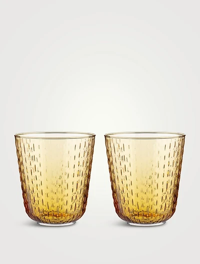 Set Of Two Syksy Tumblers