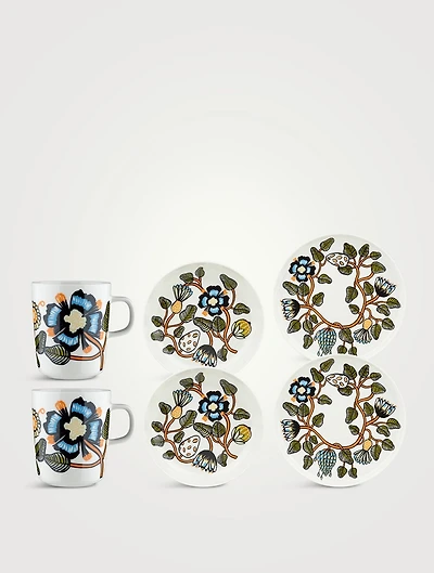 Six-Piece Oiva/Tiara Dinner Set