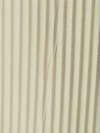 Tailored Pleats 2 Vest