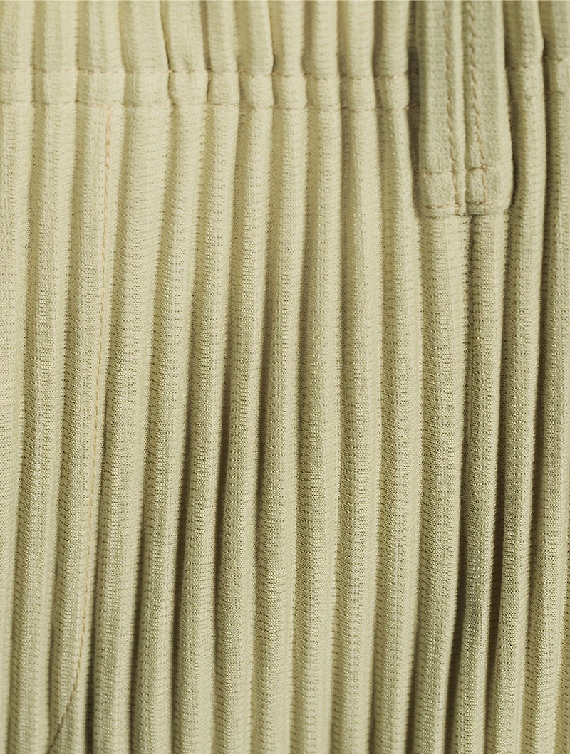 Tailored Pleats 2 Straight-Leg Pants