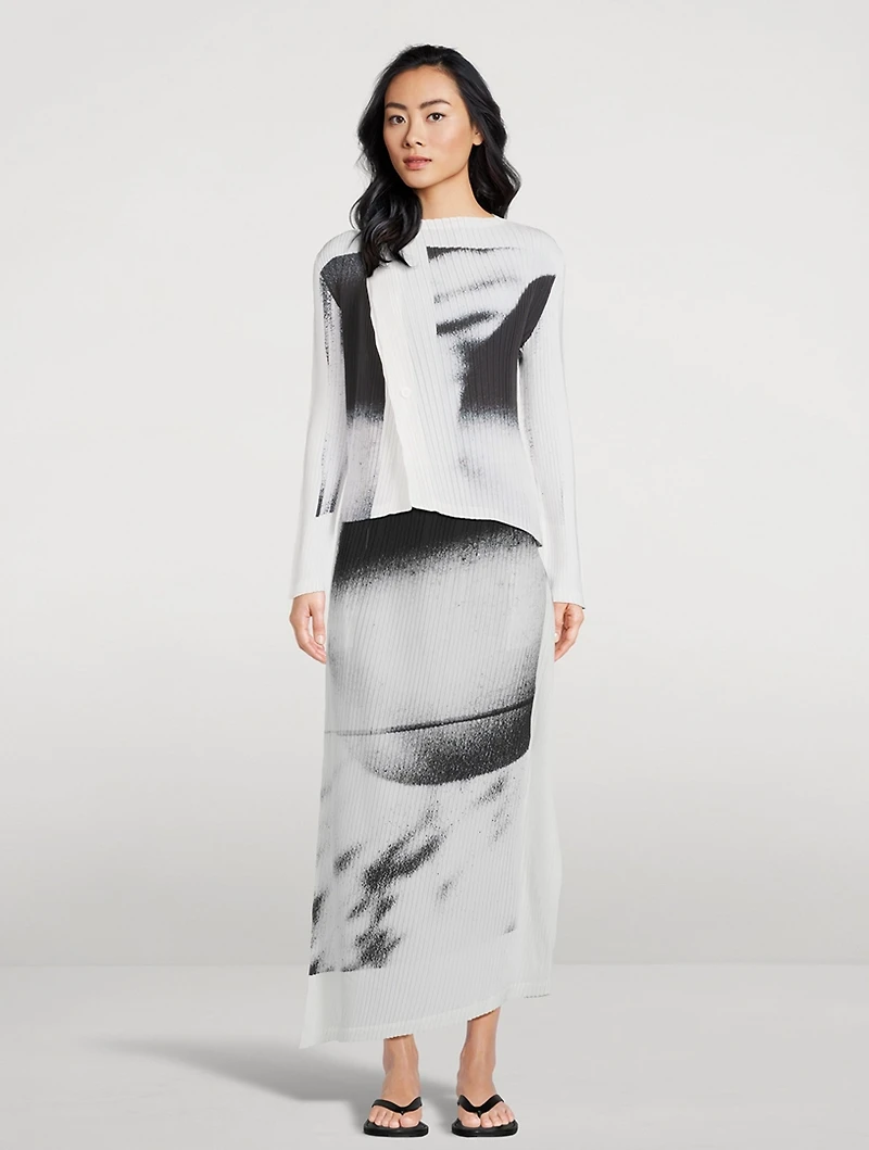 Shadow Study Pleats Skirt