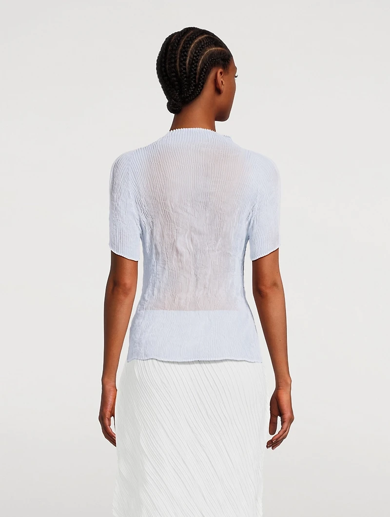 Chiffon Twist 3 Top