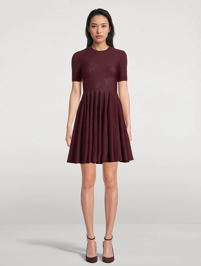 Wool Skater Dress