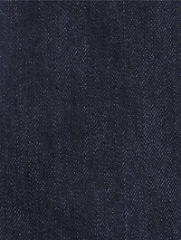 Trevi Denim Mini Dress