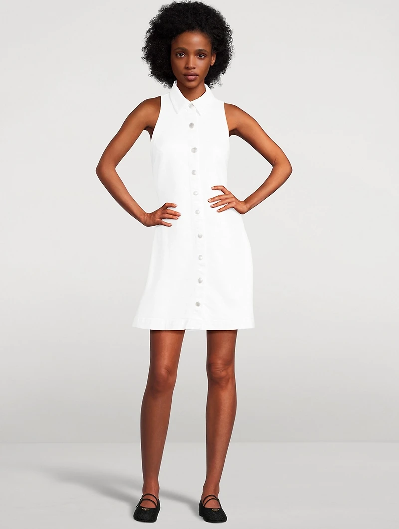 Payton Denim Mini Dress