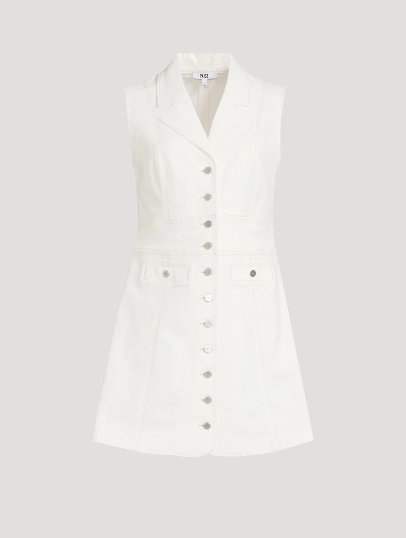 Vida Denim Mini Dress