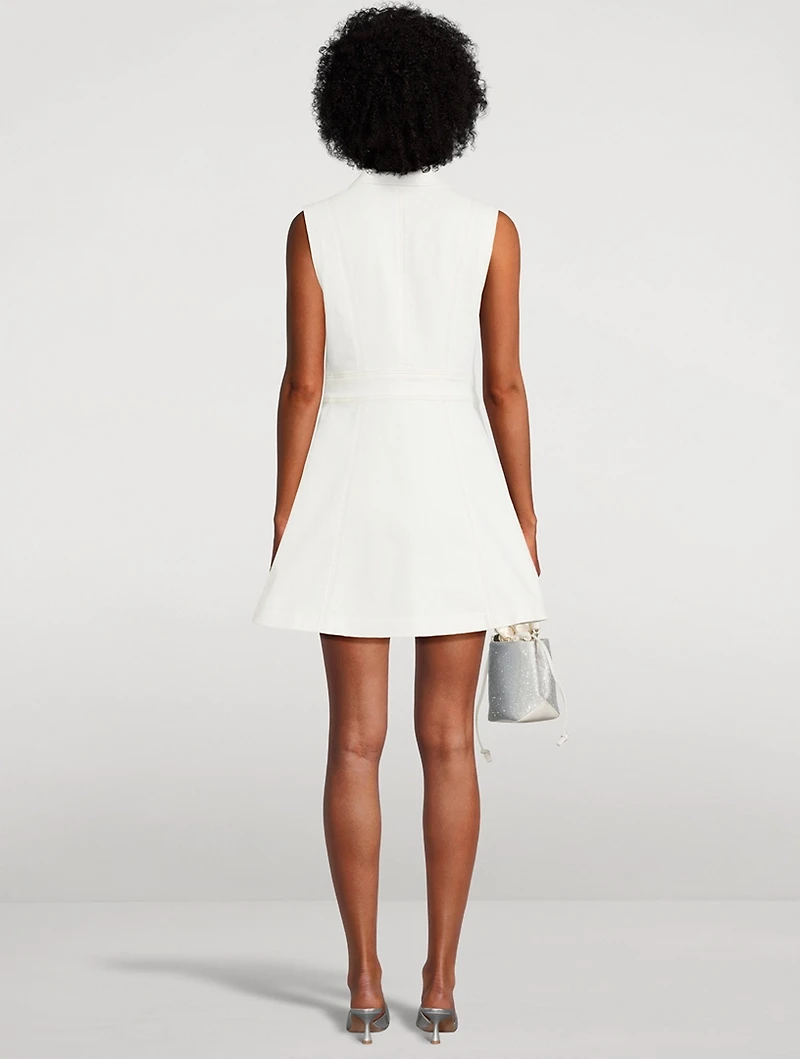 Vida Denim Mini Dress