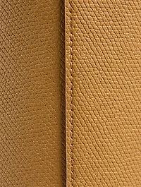 Medium Le Roseau Leather Shoulder Bag