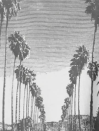 Louis Bing Tour T-Shirt