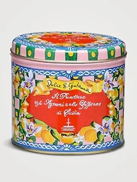 Dolce & Gabbana Panettone By Fiasconaro Agrumi