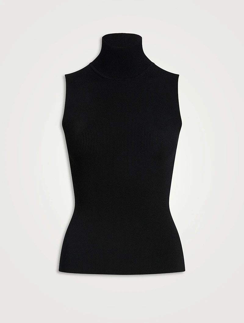Benita Knit Turtleneck