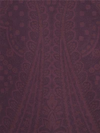 Cotton Polo Shirt Paisley Print