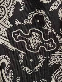Frances Silk Shorts Bandana Print