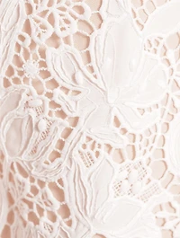 Silba Lace Mini Dress
