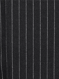 High Twist Wool Pants Pinstripe Print