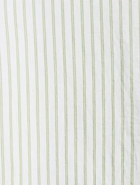 Sleeveless Shirt Stripe Print