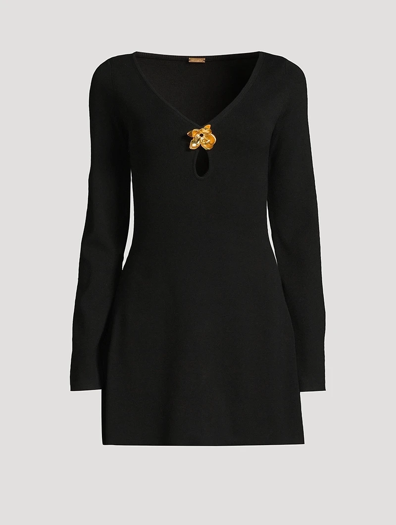 Mani Knit Long-Sleeve Mini Dress