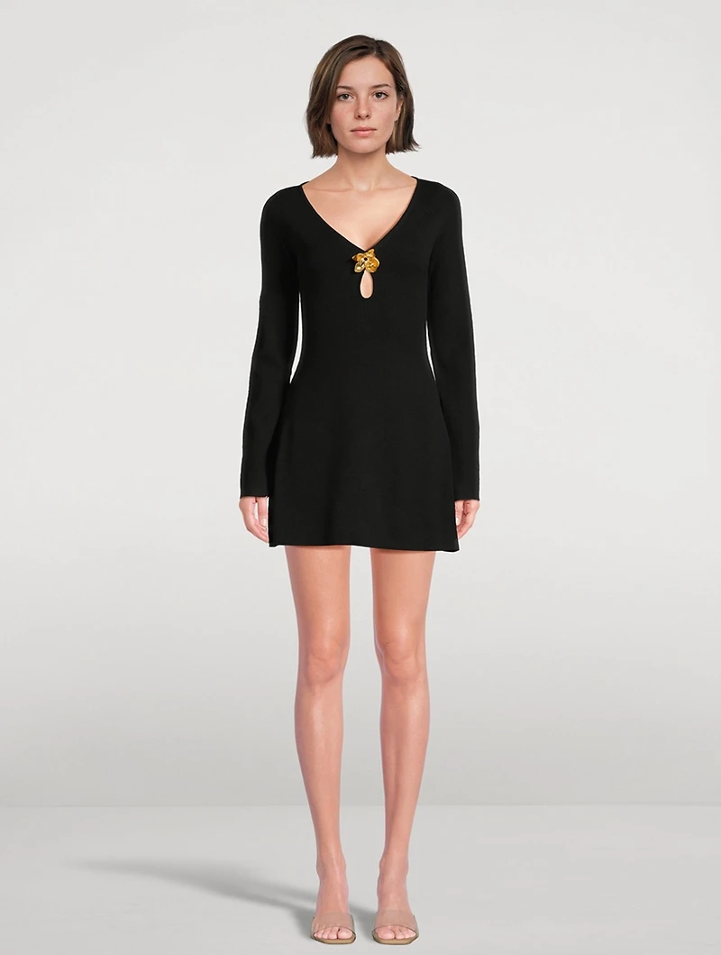 Mani Knit Long-Sleeve Mini Dress