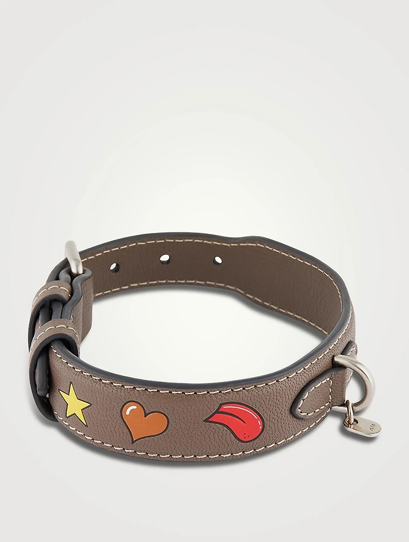 Small Stickers Leather Dog Collar