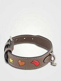 Small Stickers Leather Dog Collar