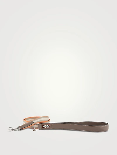 Dog Leash