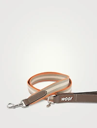 Dog Leash