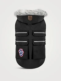 Everest Explorer Dog Vest