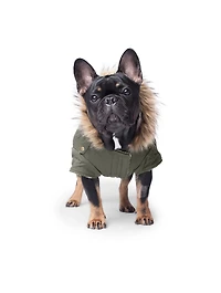 Alaskan Army Dog Parka