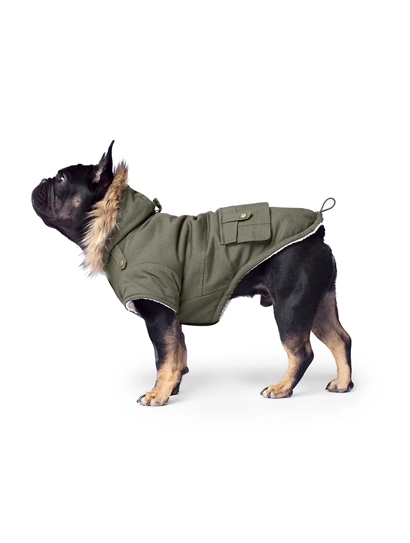 Alaskan Army Dog Parka