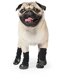 Large Slouchy Dog Socks