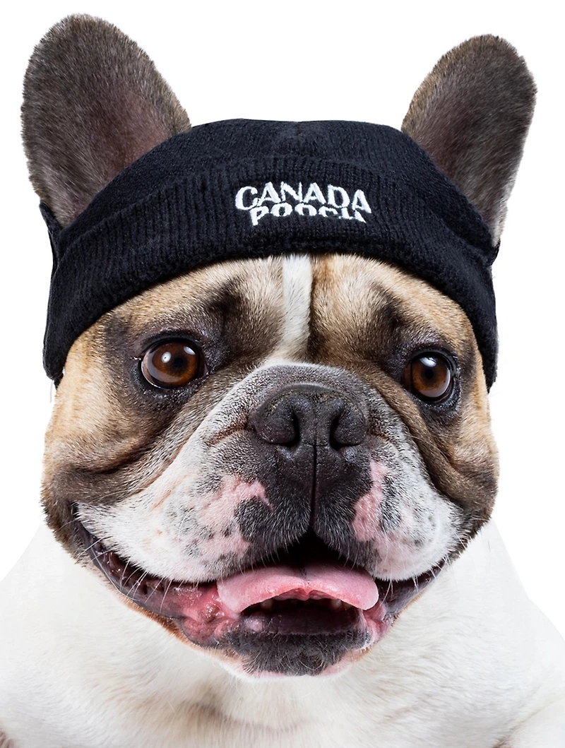 Large Basic Dog Beanie