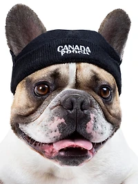 Large Basic Dog Beanie