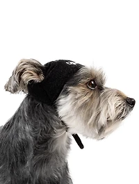 Large Basic Dog Beanie
