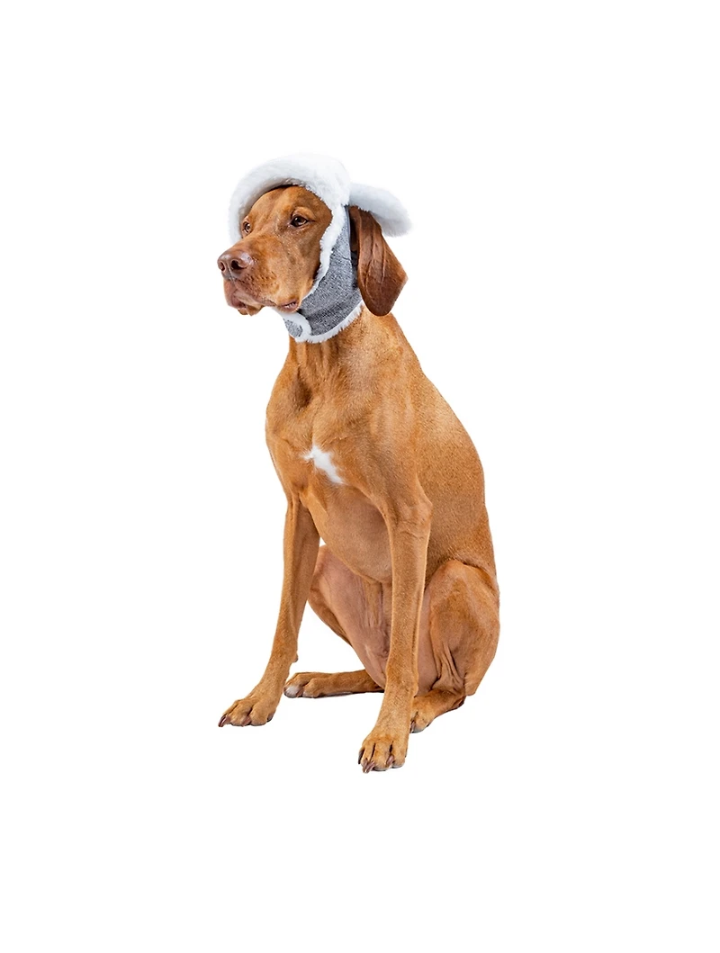 The Arctic Air Dog Hat