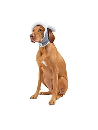 The Arctic Air Dog Hat
