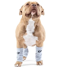 Medium Work It Knit Dog Leg
Warmers