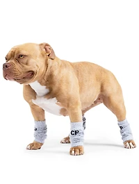 Medium Work It Knit Dog Leg
Warmers