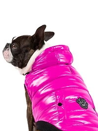 Small Shiny Puffer Dog
Vest