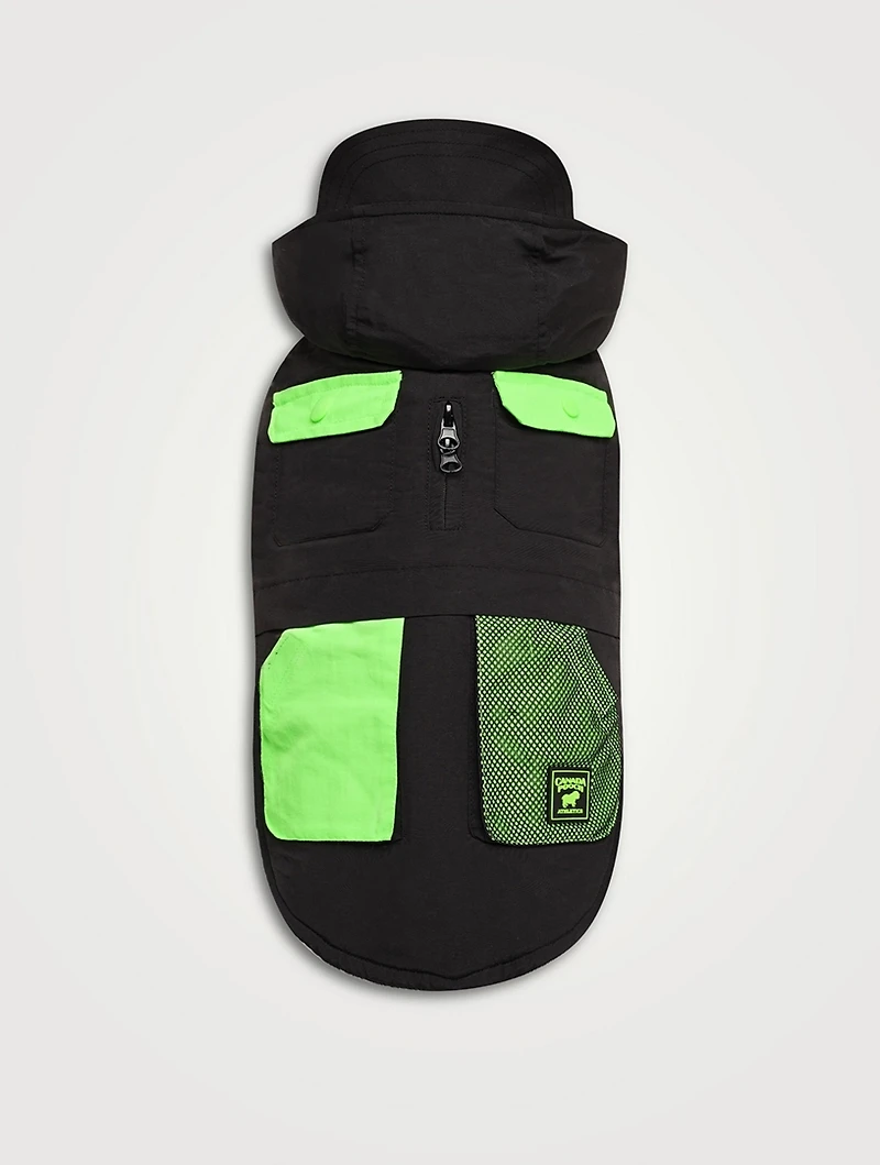 Renew Sustainable Dog Parka