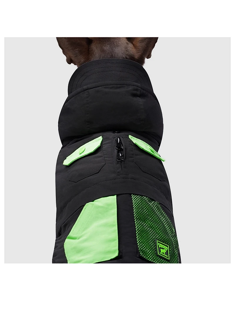 Renew Sustainable Dog Parka