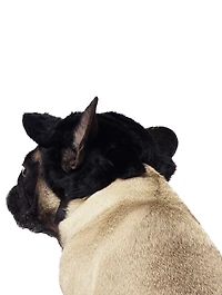 Small Pawparazzi Faux-Fur Dog Cap