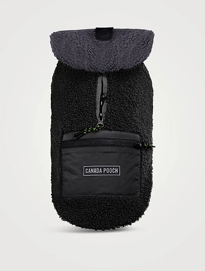 Cool Factor Dog Hoodie