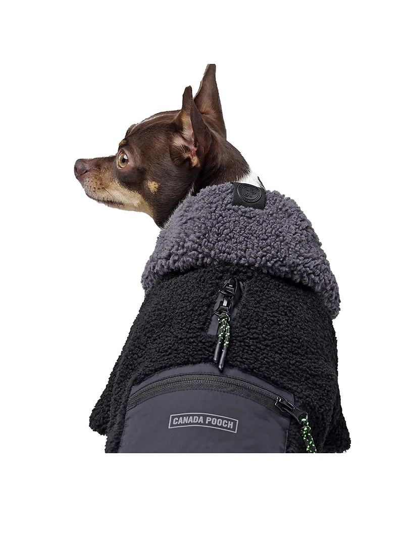 Cool Factor Dog Hoodie