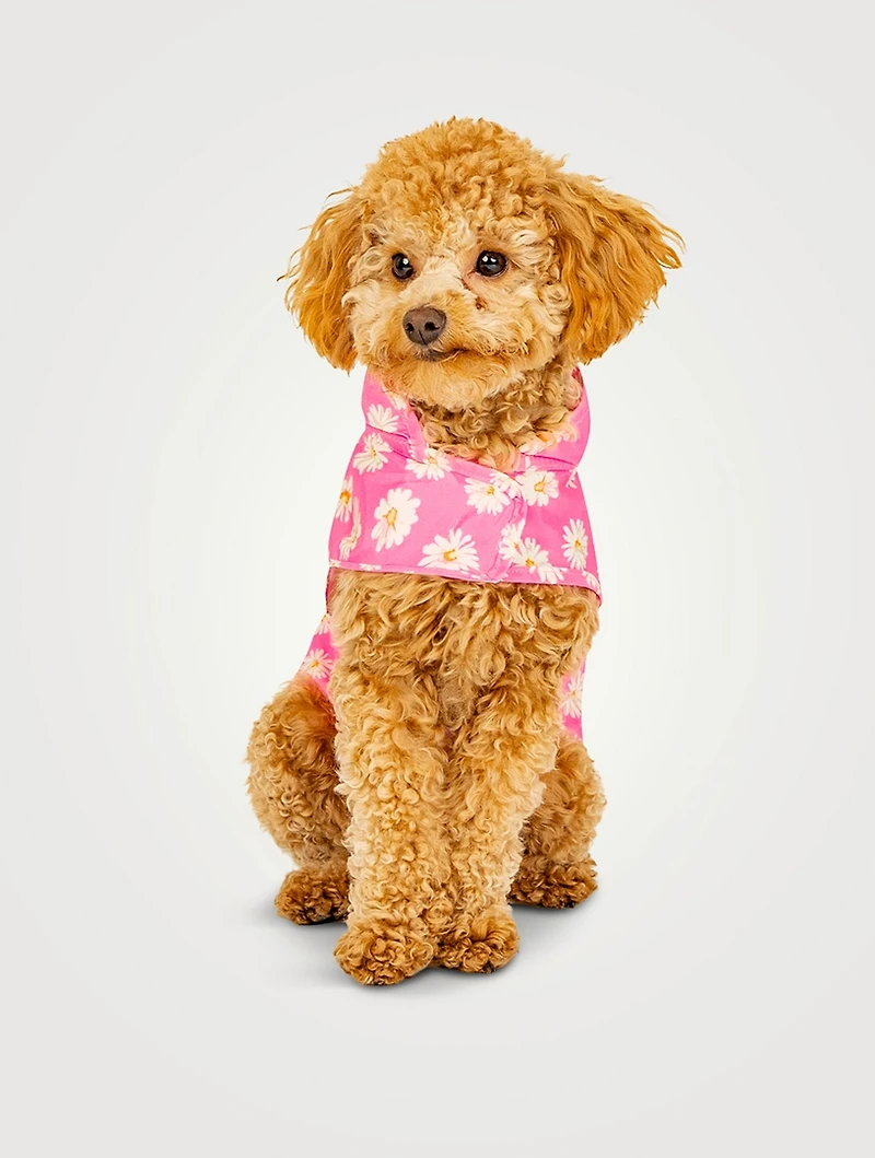 Pick Me Poncho Floral Print