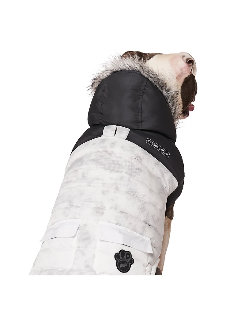 Eco True North Dog Parka