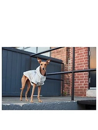 Cold Front Raincoat