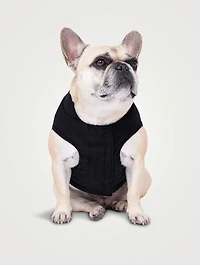 Ultimate Stretch Dog Vest