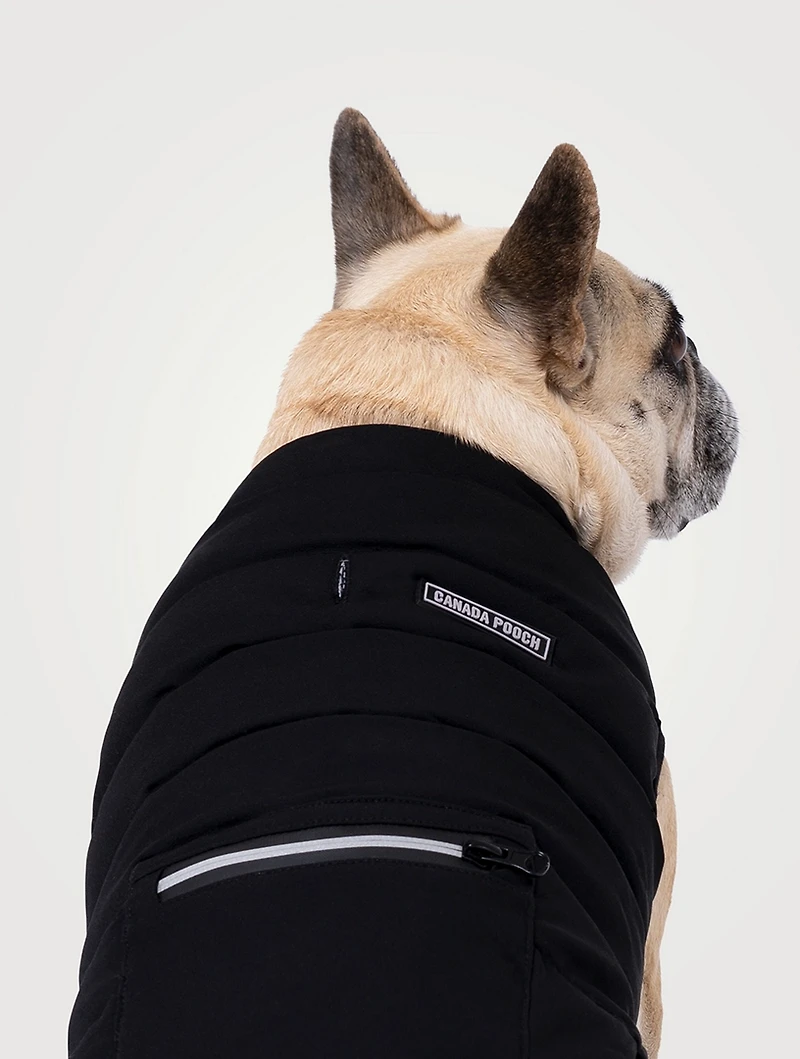 Ultimate Stretch Dog Vest