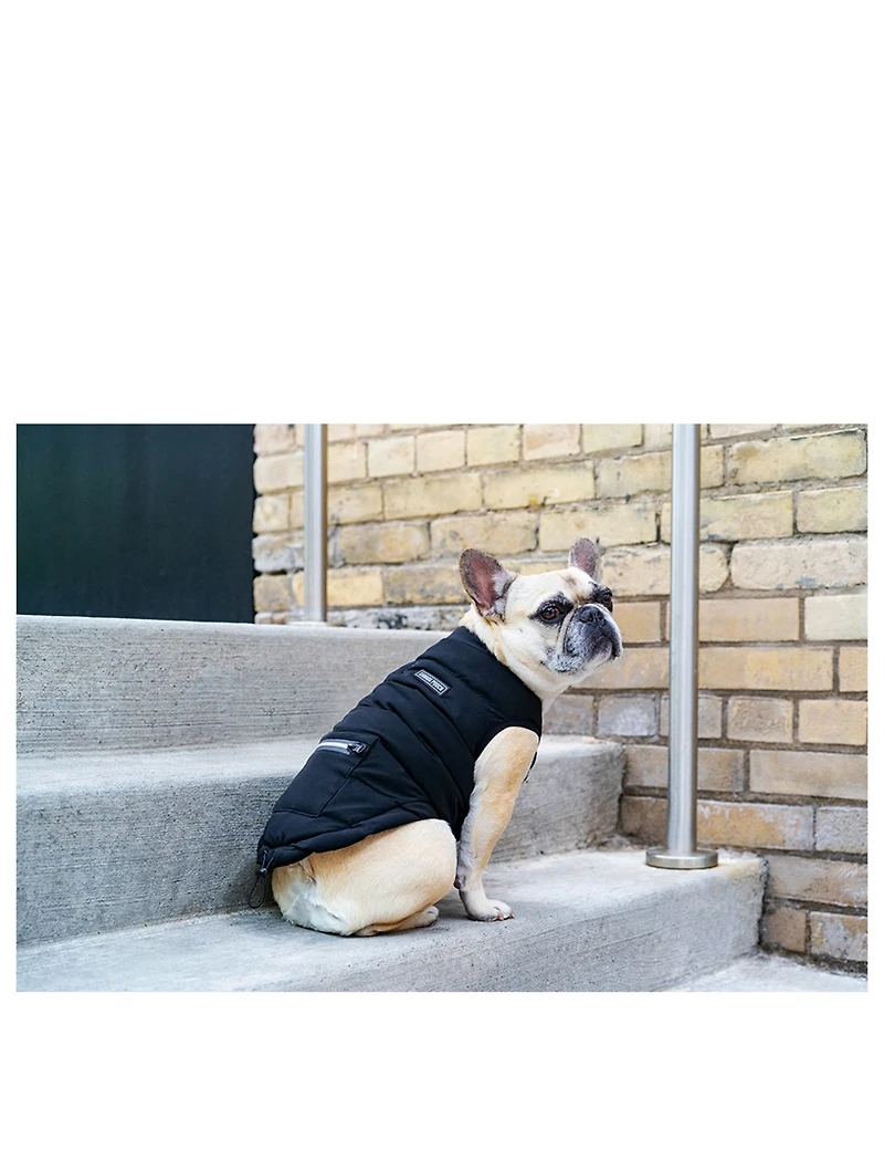 Ultimate Stretch Dog Vest