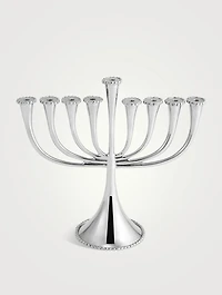 Molten Menorah